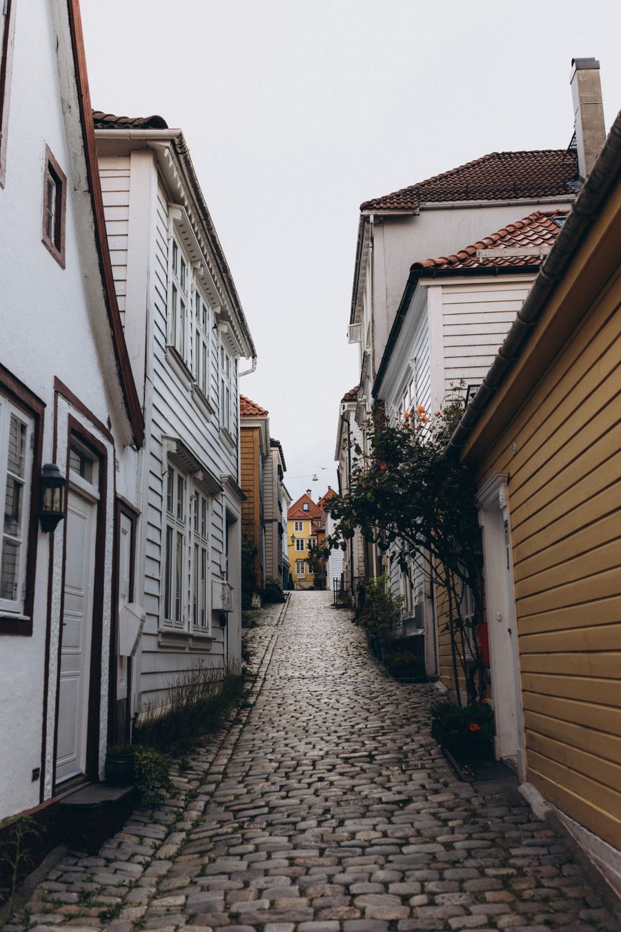 Bergen, placeholder photo